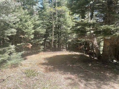 146 Gibson Rd, Westcliffe, CO 81252 - photo 3