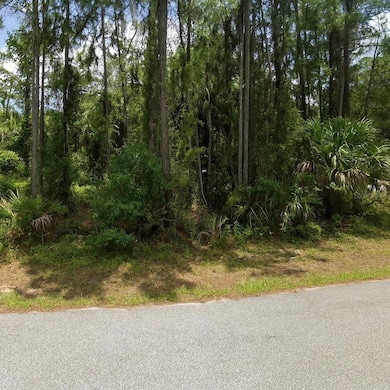Lot 15 Jonesboro Ave, North Port, FL 34288 - photo 2