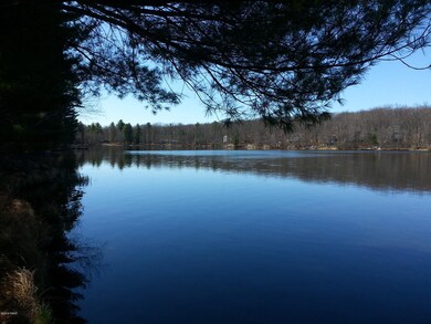 134 Hemlock Point Ct, Hawley, PA 18428 - photo 5