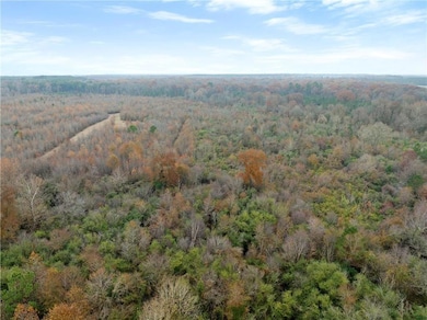 Aerial view featuring a wooded view