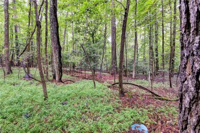 200 Jolly Pond Rd, Williamsburg, VA 23188 - photo 4