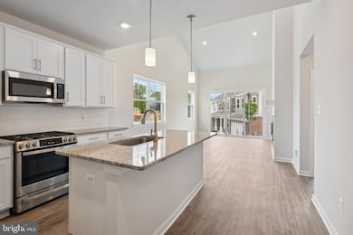 12125 American Chestnut Rd, Bowie, MD 20720 - photo 4