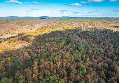 849 County Road 126, Annapolis, MO 63620 - photo 5