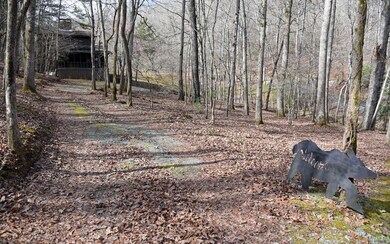 427 Cross Creek Rd, Mineral Bluff, GA 30559 - photo 4