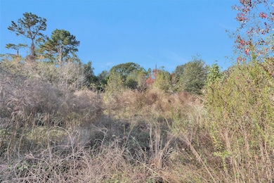 24801 Stanolind Rd, Tomball, TX 77375 - photo 6