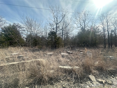 0 Kelsoe 2 Rd unit 2507992, Canadian, OK 74425 - photo 5