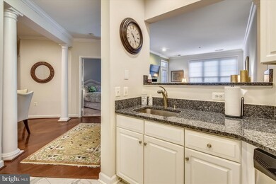1321 N Adams Ct unit 308, Arlington, VA 22201 - photo 5