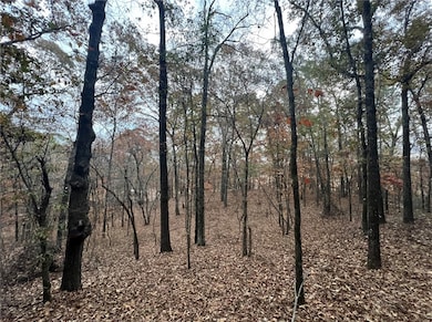 0 U S Highway 280, Jackson's Gap, AL 36861 - photo 2