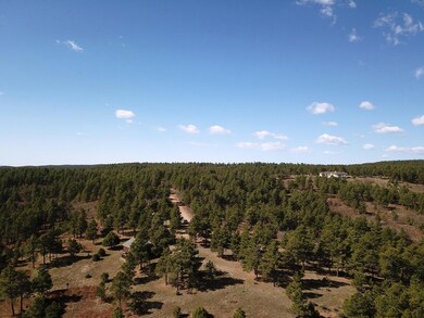 drone 6