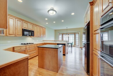 211 Robinson Way, Batavia, IL 60510 - photo 4