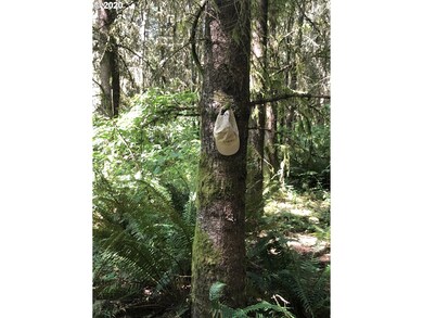 0 Gowan Rd unit 20115638, Rainier, OR 97048 - photo 6