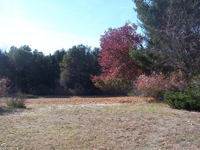 213 Westbrook Dr, Toms River, NJ 08757 - photo 4