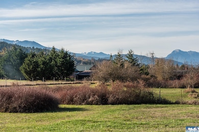 NKA Washington Harbor Loop, Sequim, WA 98382 - photo 2