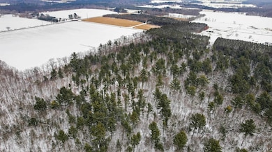 20 Acres County Road D, Waupaca, WI 54981 - photo 4