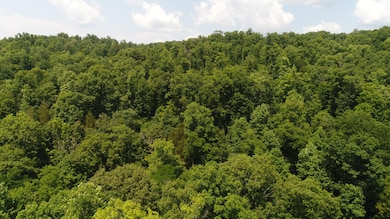 13000 Highway 192, Somerset, KY 42501 - photo 4