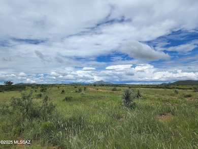 10632 N Double U Ranch Rd, Tombstone, AZ 85638 - photo 5
