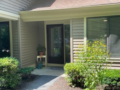 45 Riveredge Dr unit 45, Winsted, CT 06098 - photo 2