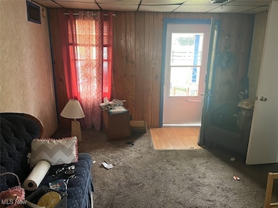 4094 Ohio 225, Diamond, OH 44412 - photo 4