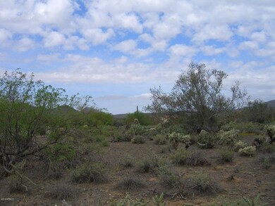 PHOTO #8