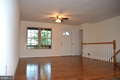 191 Roaches Run Rd, Front Royal, VA 22630 - photo 5