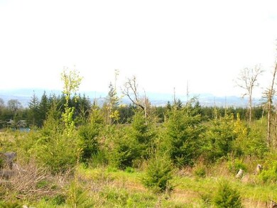 18376 Oregon 22 unit 3, Sheridan, OR 97378 - photo 2