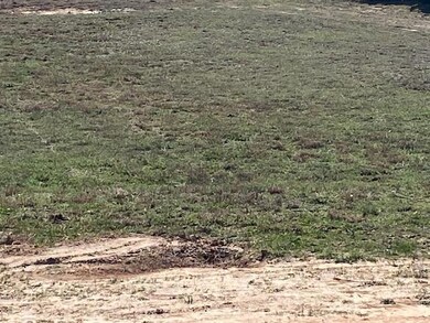 1203 Sandy Ln, Weatherford, TX 76088 - photo 7