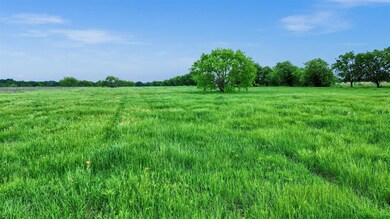 0000 Old Tioga Rd unit Lot 1, Gunter, TX 75058 - photo 7