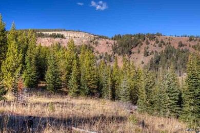 TBD Upper Beaver Creek Road Lot 11, Big Sky, MT 59716 - photo 3