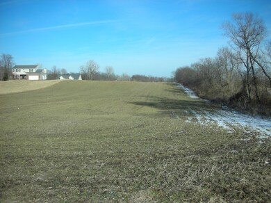 Lot View
