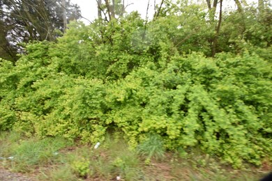 Tract 1 at Dean Rd, Harrodsburg, KY 40330 - photo 4