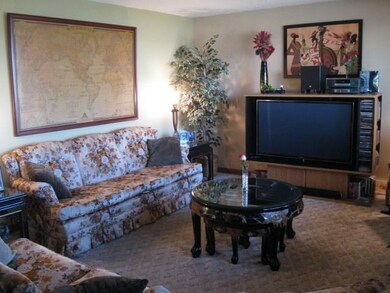 Bright and light filled living room.