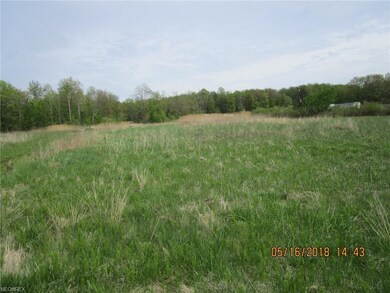 0 County Line Rd N unit 3961452, Geneva, OH 44041 - photo 6