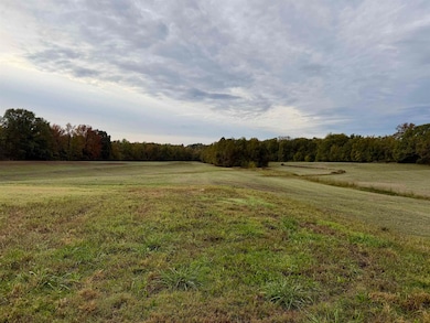 0 Faye Barfield Rd, Henning, TN 38041 - photo 5