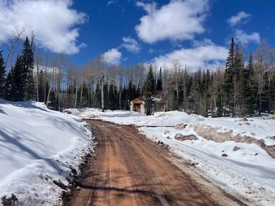 264 N 275 E unit 163, Brian Head, UT 84719 - photo 5