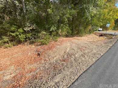 00 N Lily and Hwy 60 Hwy, Houston, AR 72070 - photo 6