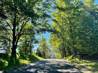 6165 Mountain Sky Rd, Paradise, MI 49649 - photo 2