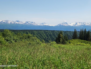 44931 Fox View Dr, Homer, AK 99603 - photo 5