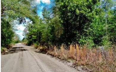 TBD 43rd Dr, Branford, FL 32008 - photo 4