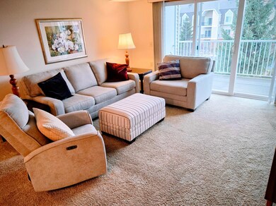 Bards Crossing unit 304, Rosemount, MN 55068 - photo 4