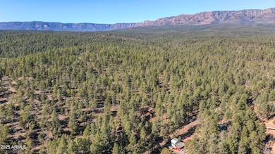 11180 N Houton Mesa Rd unit 77, Payson, AZ 85541 - photo 6