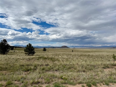 311 Harness Way, Hartsel, CO 80449 - photo 3