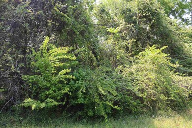 XX Meridith Dr, Crawfordville, FL 32327 - photo 3