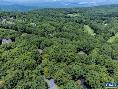 63 N Forest Dr, Roseland, VA 22967 - photo 5