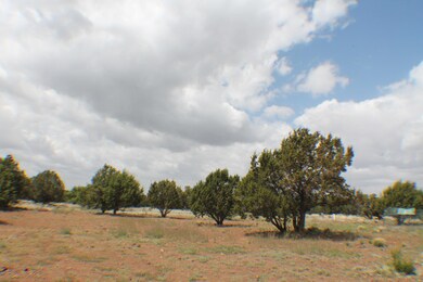 Parcel B Bourdon Ranch Rd, Show Low, AZ 85901 - photo 5