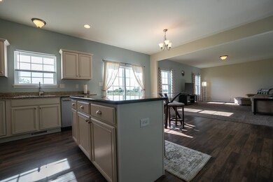 11052 Elkhart Place, Crown Point, IN 46307 - photo 6