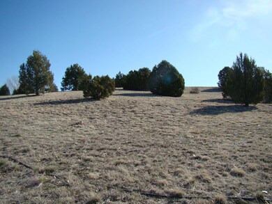1185 Arrowhead Pass