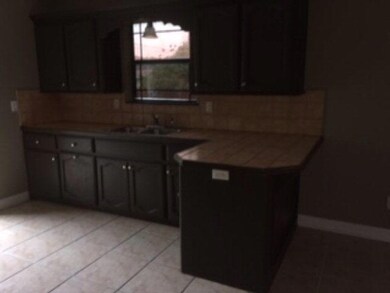 715 E Hawk Ave, Pharr, TX 78577 - photo 4