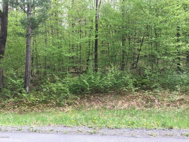 Lot 69 Decker Creek Dr, Palmyra Township, PA 18428 - photo 3
