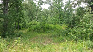 367 Stump St, Manchester, TN 37355 - photo 2