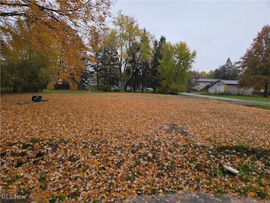 4234 Watkins Rd, Norton, OH 44203 - photo 3